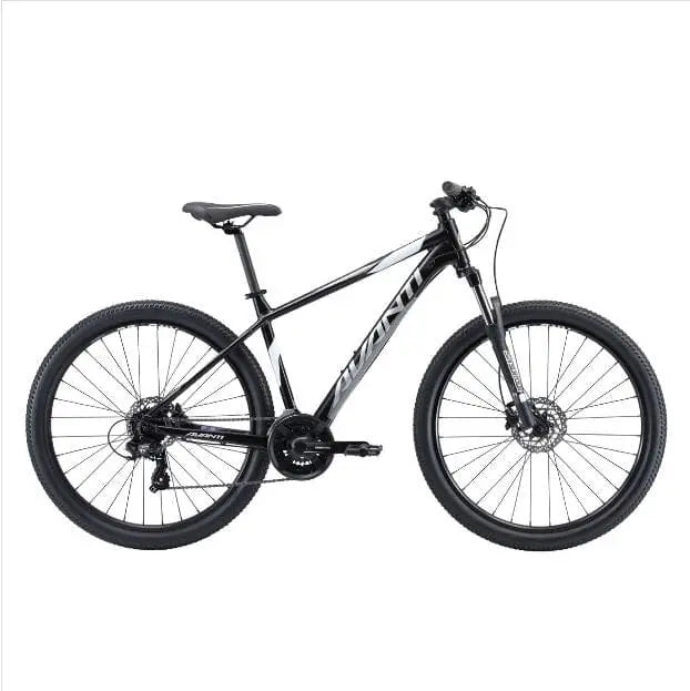avanti montari xs