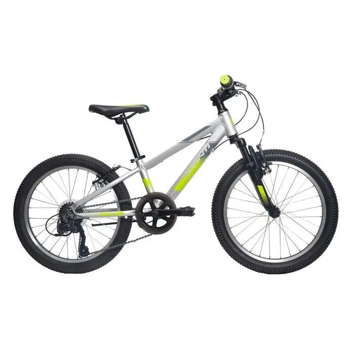 2021 Avanti Shadow 20 Silver Green Bikes Avanti