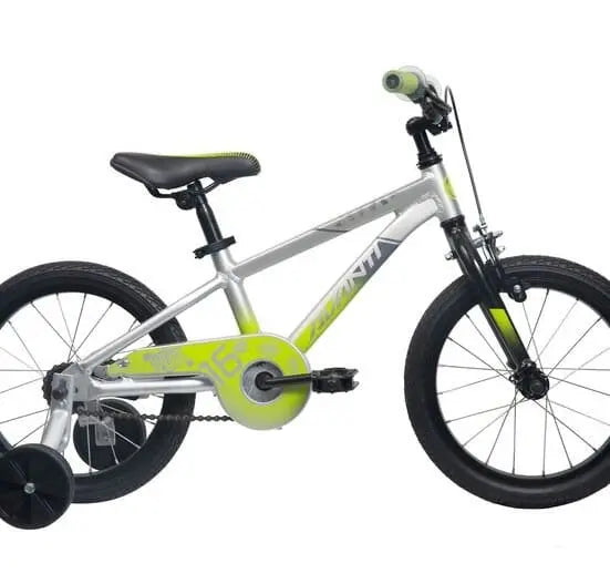 2022 Avanti Shadow 16 Silver Green Bikes Avanti