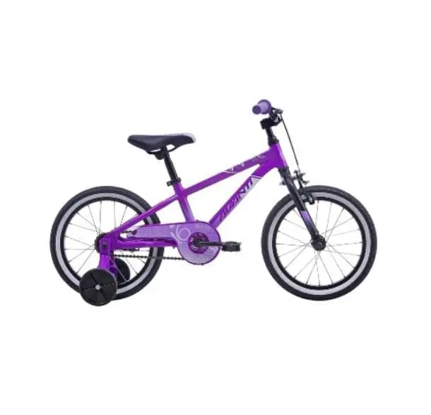 2022 Avanti Spice 16 Metallic Purple Bikes Avanti 16 inch