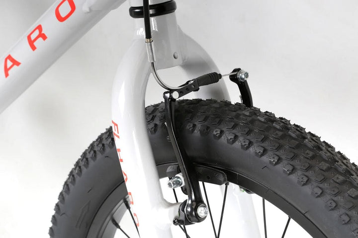 2022 Haro Flightline 20 Plus Grey / Charcoal Bikes Haro