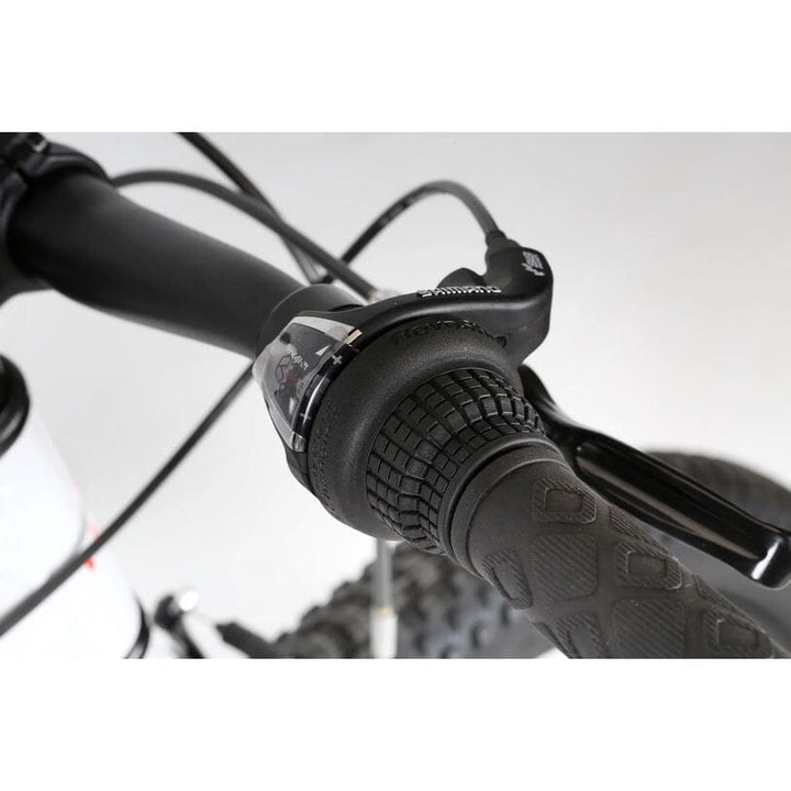2022 Haro Flightline 20 Plus Grey / Charcoal Bikes Haro